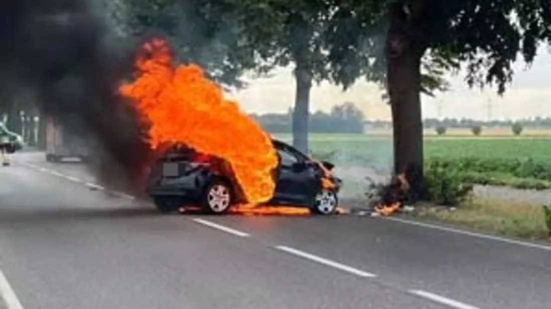 POL-REK: 260721-1: Auto prallte gegen Baum und brannte - Bild: presseportal.de