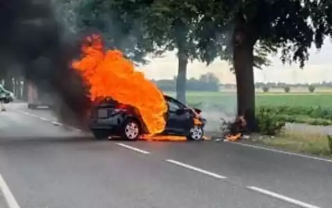 POL-REK: 260721-1: Auto prallte gegen Baum und brannte - Foto: presseportal.de