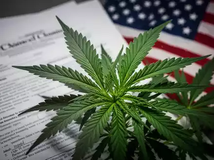 Nahaufnahme von Cannabisblättern mit verschwommenen juristischen Dokumenten und einer US-Flagge im Hintergrund, die die Neuklassifizierung symbolisieren. - Foto: über boerse-global.de