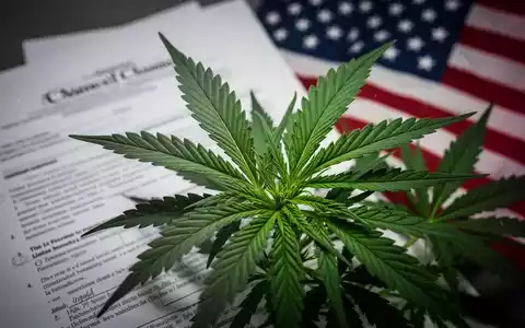 Nahaufnahme von Cannabisblättern mit verschwommenen juristischen Dokumenten und einer US-Flagge im Hintergrund, die die Neuklassifizierung symbolisieren. - Foto: über boerse-global.de