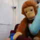 Die Polizei registriert steigende Fallzahlen bei sexueller Gewalt gegen Kinder und sieht ein großes Dunkelfeld. (Symbolbild) - Bild: Jan Woitas/dpa