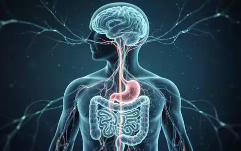 Stilisierte Darstellung des Vagusnervs als Verbindung zwischen Gehirn und Körper in einer medizinisch-wissenschaftlichen Ästhetik. - Foto: über boerse-global.de