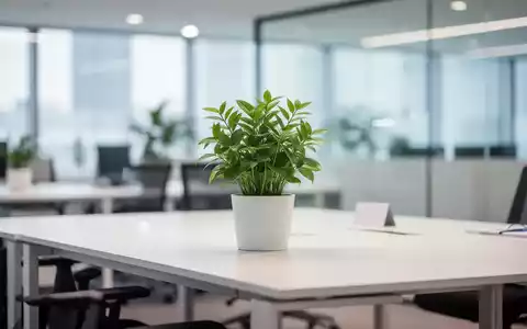 Modernes, aufgeräumtes Büro mit einer Zimmerpflanze, das ein gesundes und ausgewogenes Arbeitsumfeld symbolisiert. - Foto: über boerse-global.de