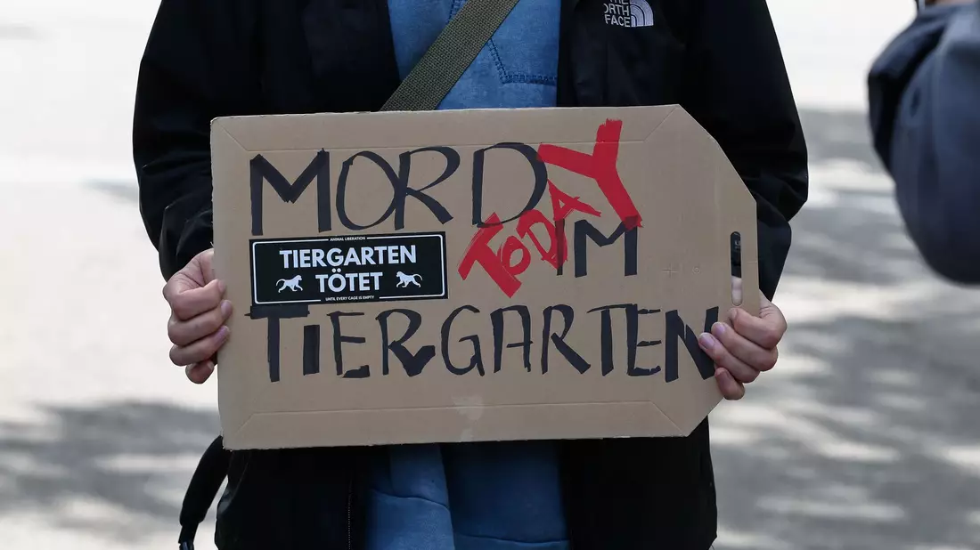 Aktivistinnen und Aktivisten versammelten sich am 29. Juli 2025 vor dem geschlossenen Tiergarten, um gegen die Tötung der Paviane zu demonstrieren. Einige drangen später in den Zoo ein. (Archivbild) - Bild: Daniel Löb/dpa