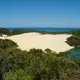 Im tropischen Bundesstaat Queensland steht ein Koala als KI-Fremdenführer bereit: Bunji. - Bild: Florian Sanktjohanser/dpa-tmn