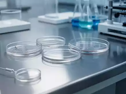 Ein steriler Labortisch mit Petrischalen und Analysegeräten zur Lebensmittelsicherheitsprüfung. - Foto: über boerse-global.de
