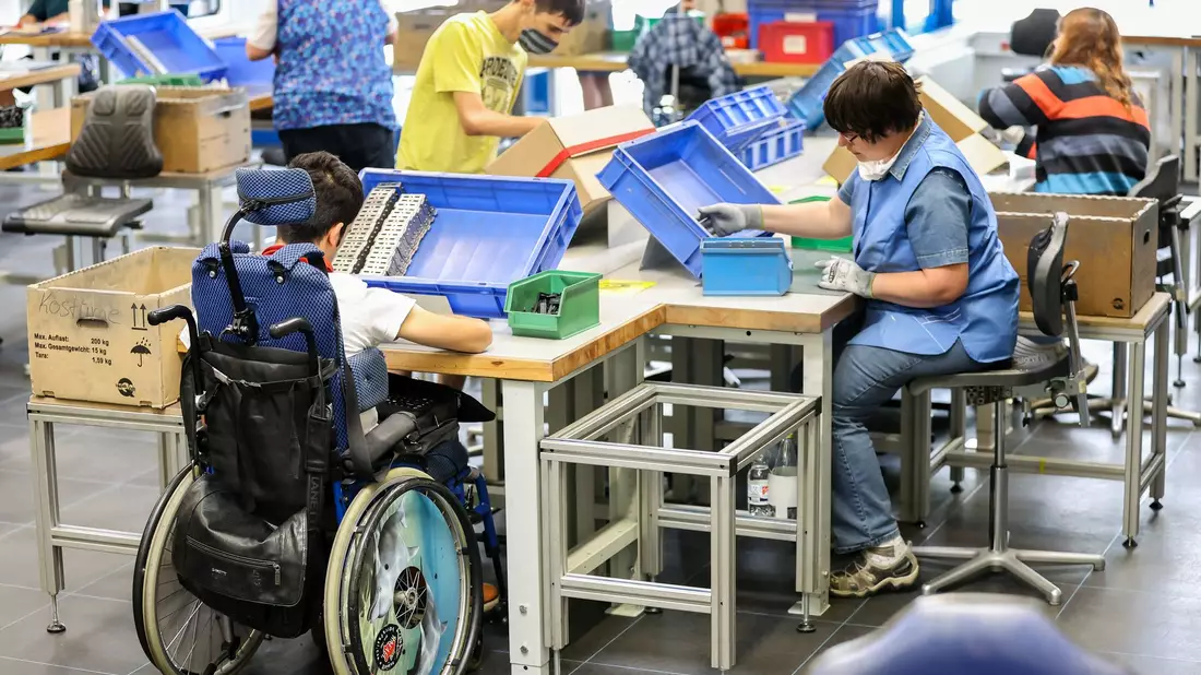 Die Zahl der schwerbehinderten Beschäftigten ist im Jahr 2024 in Deutschland erneut gestiegen (Archivbild).  - Bild: Jan Woitas/dpa-Zentralbild/dpa