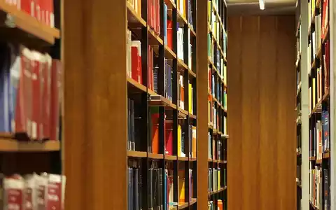 Bücher in einer Bibliothek (Archiv) - Foto: via dts Nachrichtenagentur