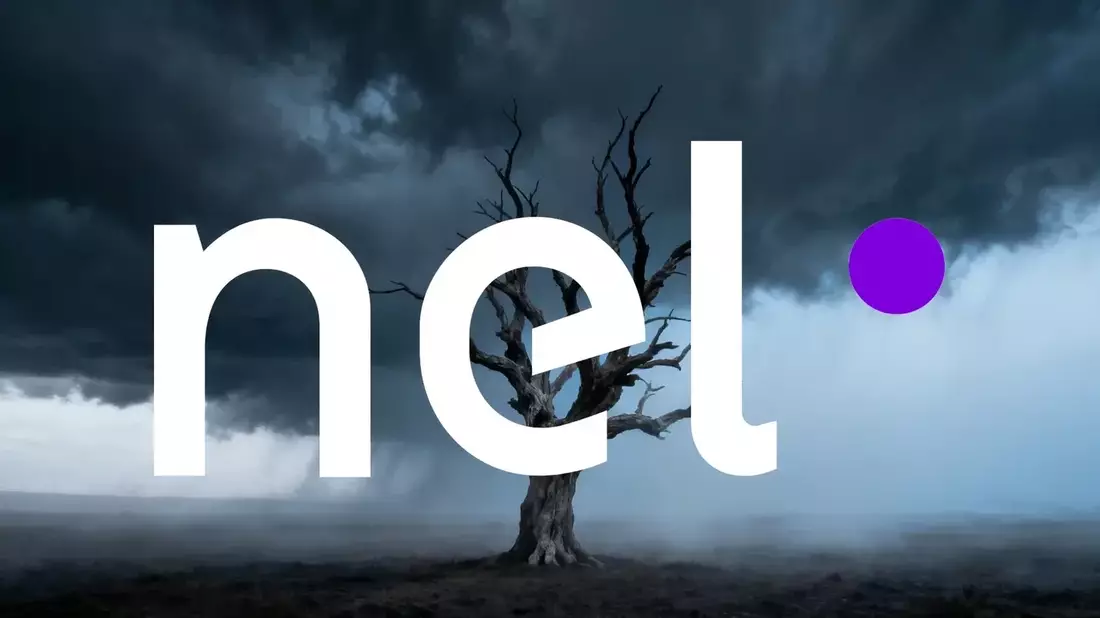 Nel ASA Q2 Report: Order Intake Surges 224% but Net Loss Widens to 189M Kroner