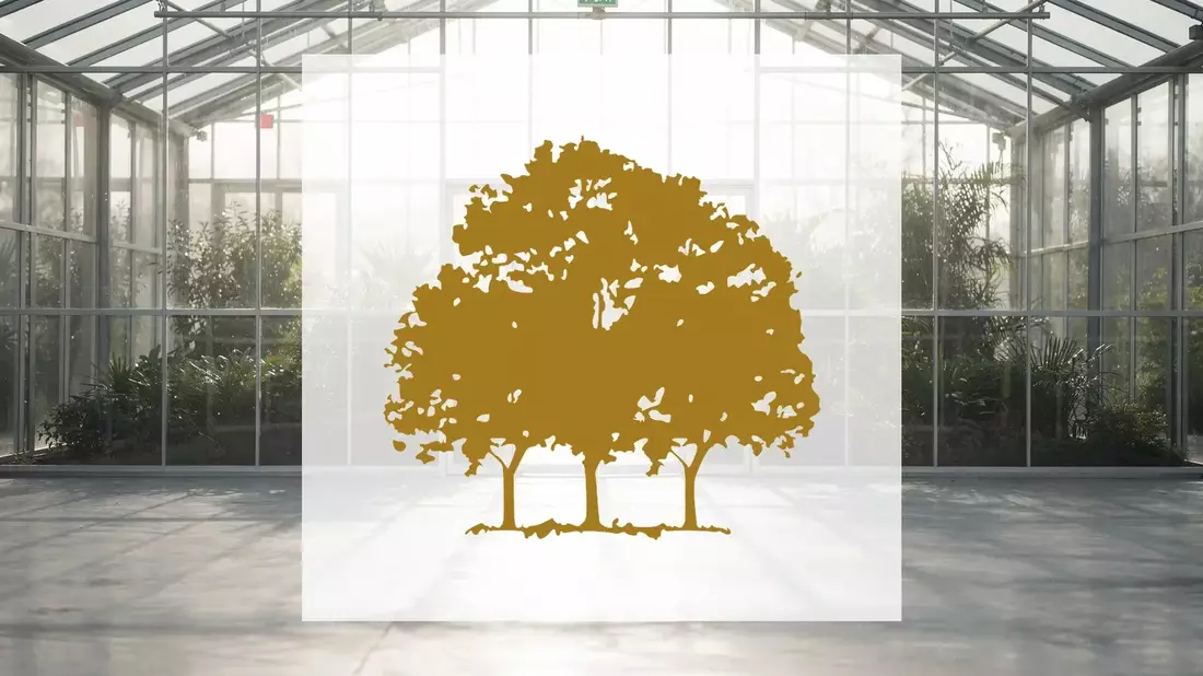 Canopy Growth: Verlust halbiert, Aktie trotzdem im Sinkflug