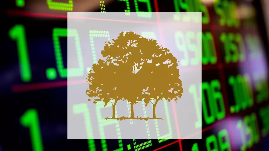 Canopy Growth: Operative Erholung trifft auf anhaltenden Kursverfall