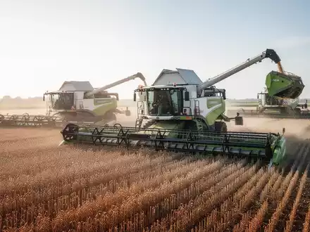 Ein moderner landwirtschaftlicher Großbetrieb mit automatisierten Maschinen bei der Ernte auf einem sonnigen Feld. - Foto: über boerse-global.de