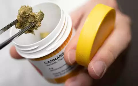 Bei Cannabis auf Rezept ist meist viel mehr Wirkstoff enthalten als bei Cannabis im Straßenhandel. (Archivbild) - Foto: Boris Roessler/dpa