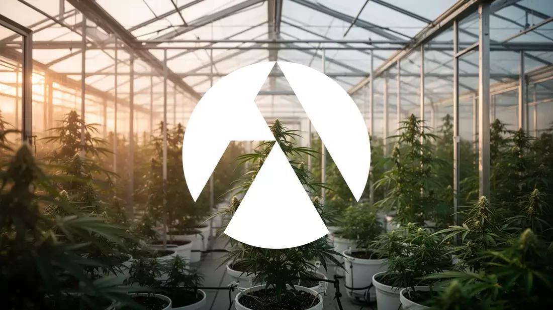 Tilray Brands: Neue Spirituosen und Cannabis-Pouches lanciert