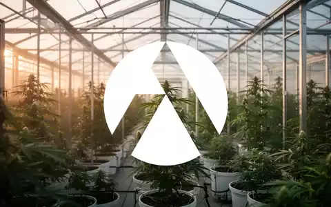 Modernes Gewächshaus mit weicher Beleuchtung als Symbol für Wachstum und Innovation in der Cannabis-Branche. - Foto: über boerse-global.de