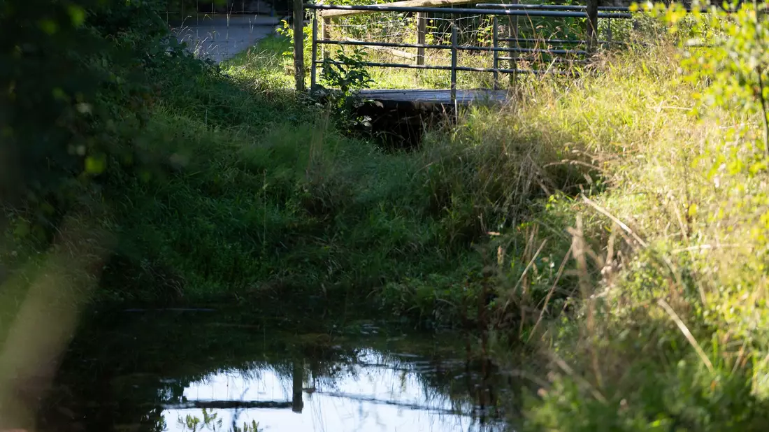 Idyllisch wirkt die Umgebung - aber hier lag der Koffer mit der Leiche, unbemerkt für Wochen. - Bild: Markus Lenhardt/dpa