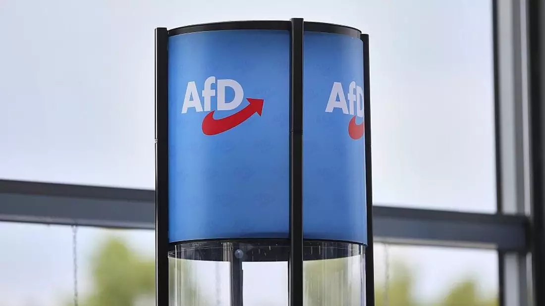 DIW warnt vor Ende der Brandmauer zur AfD