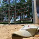 Es gibt beim Hitzeschutz auf Spielplätzen laut dem Kinderhilfswerk keine einheitlichen Standards, an denen sich Kommunen orientieren könnten. - Bild: Malin Wunderlich/dpa