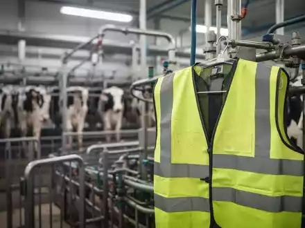 Arbeitsplatz in einer modernen Molkerei mit Fokus auf Schutzkleidung während eines Arbeitskampfes. - Foto: über boerse-global.de