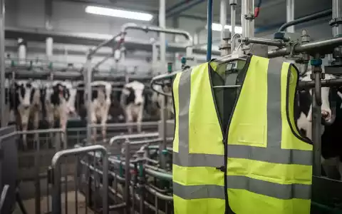 Arbeitsplatz in einer modernen Molkerei mit Fokus auf Schutzkleidung während eines Arbeitskampfes. - Foto: über boerse-global.de