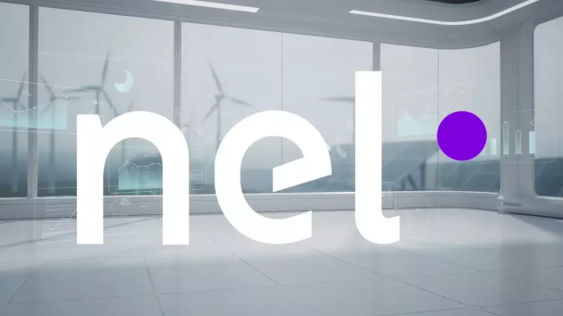 Nel ASA Q2 2025: PEM Orders Surge 224% Despite Legal Hit and CEO Exit