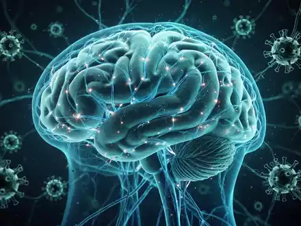 Medizinische 3D-Visualisierung eines menschlichen Gehirns mit neuronalen Strukturen und angedeuteten Viren. - Foto: über boerse-global.de