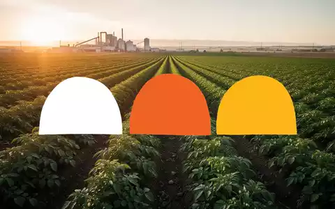 Weite nordamerikanische Agrarlandschaft mit Kartoffelfeldern im warmen Licht der Abendsonne. - Foto: über boerse-global.de