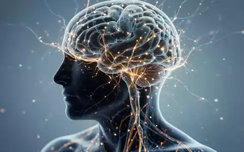 Abstrakte Darstellung neuronaler Vernetzung und Gehirnplastizität zur Veranschaulichung von Stressmanagement. - Foto: über boerse-global.de