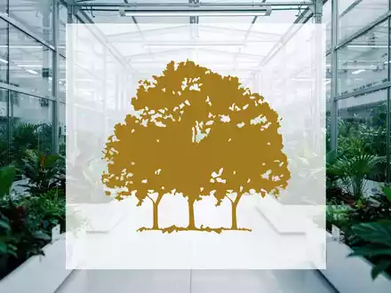 Moderne Gewächshausanlage in einem sterilen, professionellen Umfeld mit grüner Flora und tiefenschärfe. - Foto: über boerse-global.de