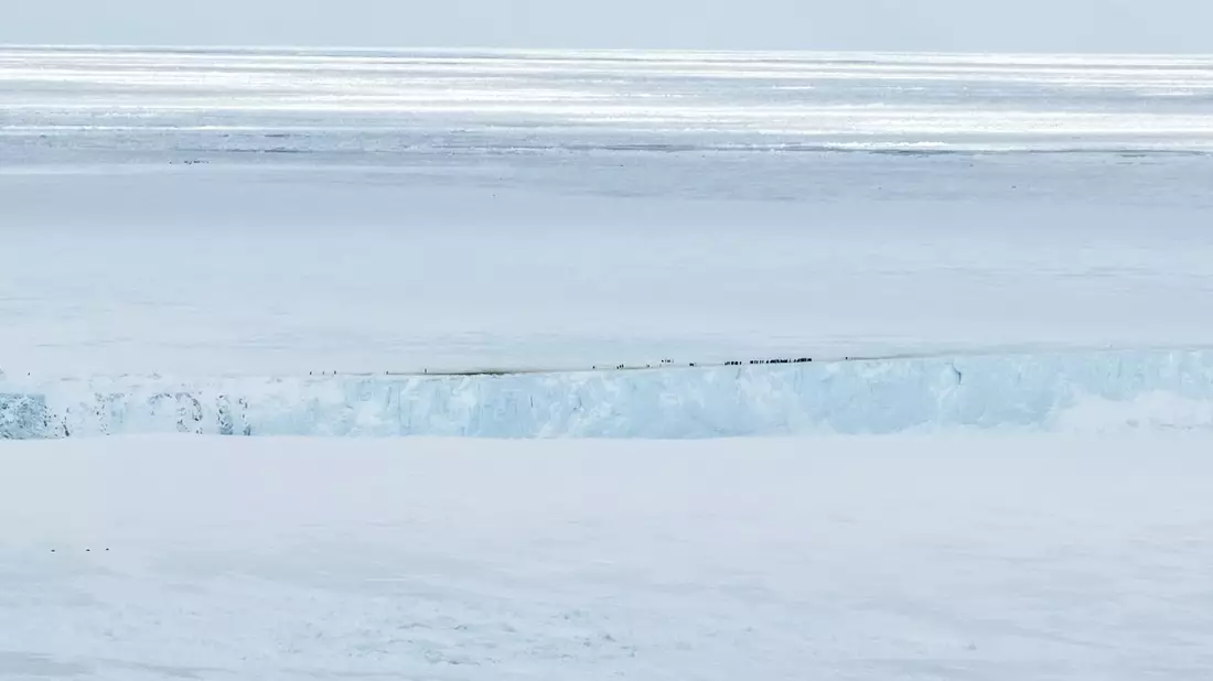 Kaiserpinguine sammeln sich am oberen Rand einer „Klippe” des Eisbergs, während sie versuchen, mit Nahrung zur Kolonie zurückzukehren.  - Bild: ---/Myeongho Seo/dpa