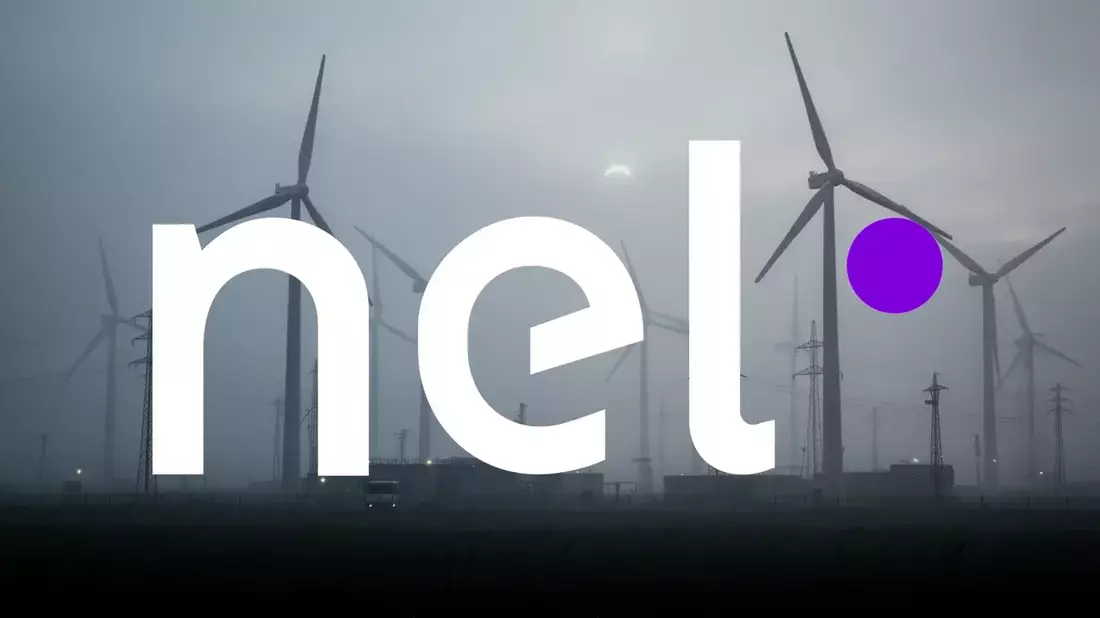 Nel ASA Struggles with Small Market Cap, Deepening Losses, and CEO Exit