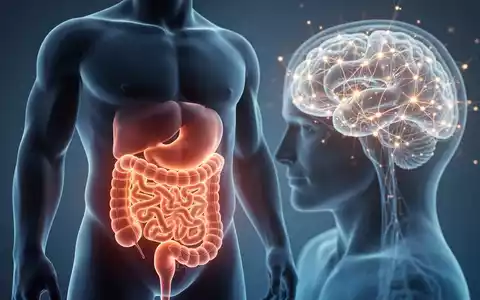 Konzeptionelle Darstellung von viszeralem Fett und dessen Verbindung zur neuronalen Gesundheit des Gehirns. - Foto: über boerse-global.de