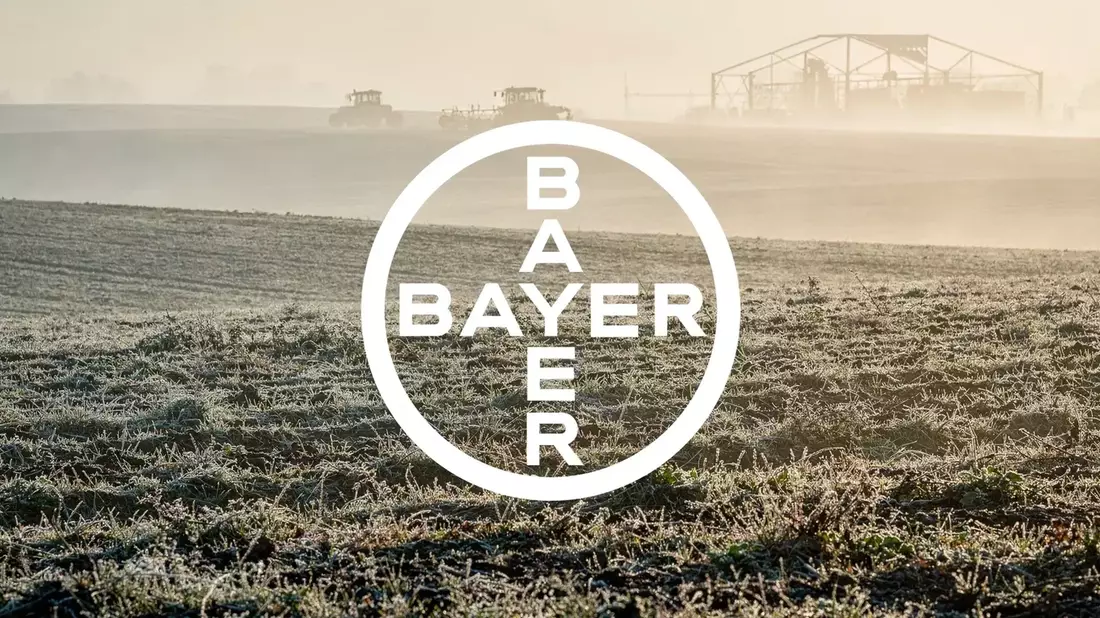 Bayer Stock Faces Key Catalysts: Q2 Earnings, Glyphosate Settlement, and Trump Tariffs