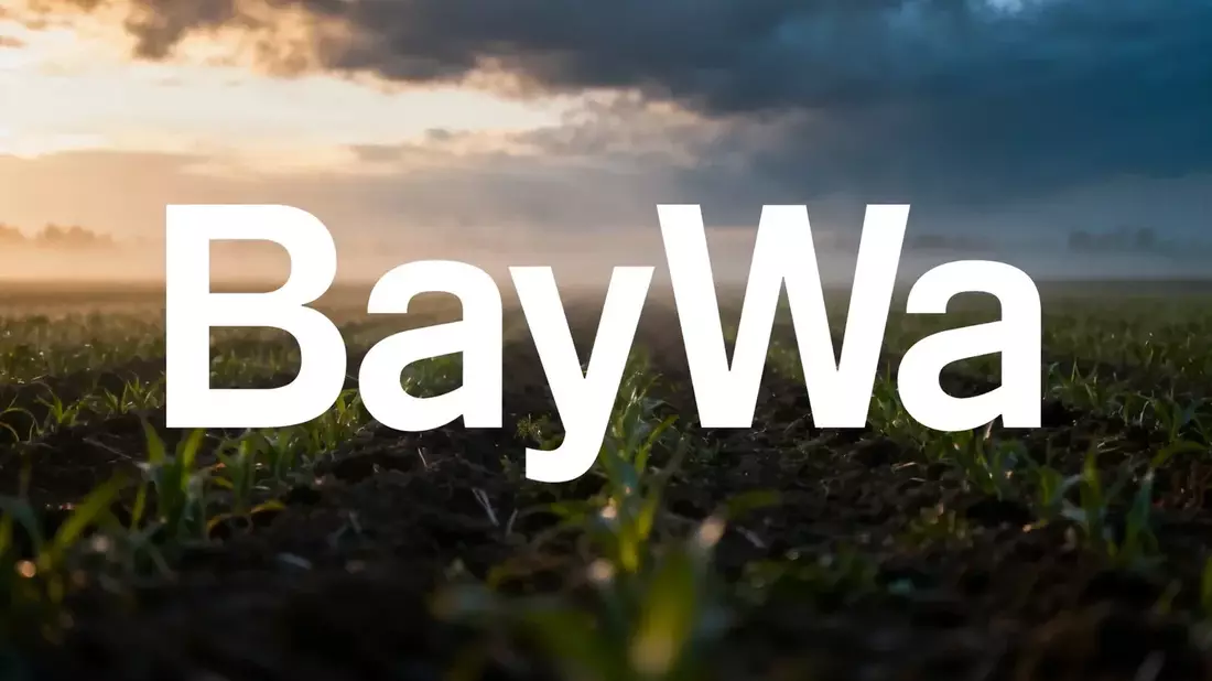 BayWa Restructuring: Creditors Force Voting Rights Transfer, Capital Deadline Extended to 2030