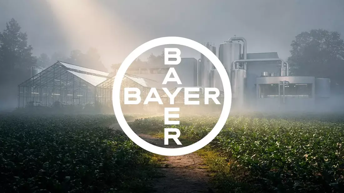 Bayer Stock Consolidates After Rally: Earnings and Glyphosate Risk in Focus