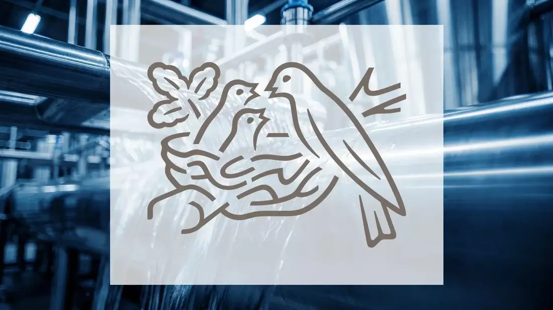 Nestlé: Gewinneinbruch im ersten Halbjahr 2026 und strategischer Umbau