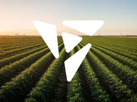 Weite landwirtschaftliche Felder bei Sonnenuntergang als Symbol für Wachstum und industrielle Stabilität. - Foto: über boerse-global.de