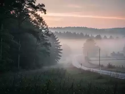 Eine neblige, ruhige Wald- und Wiesenlandschaft in der Morgendämmerung. - Foto: über boerse-global.de