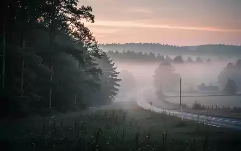Eine neblige, ruhige Wald- und Wiesenlandschaft in der Morgendämmerung. - Foto: über boerse-global.de