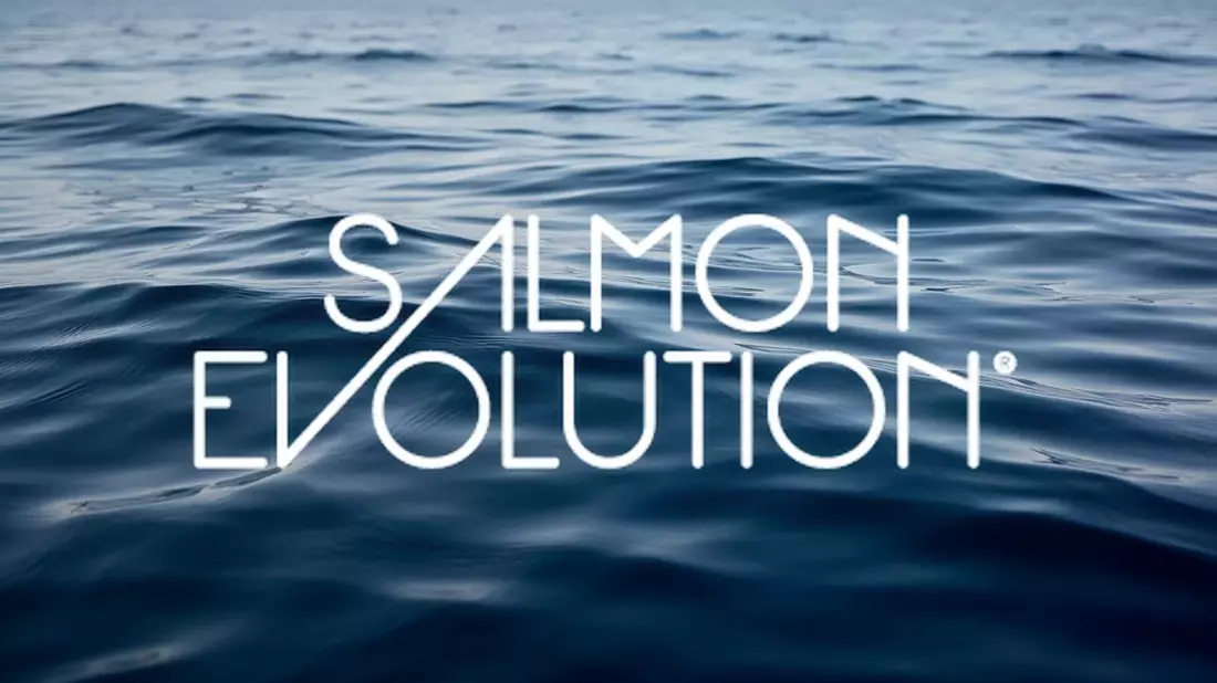 Salmon Evolution: Kursstabilisierung vor Halbjahreszahlen