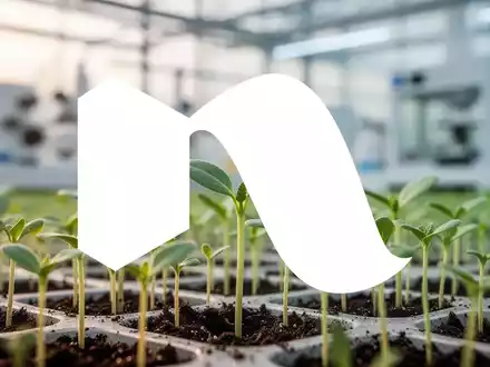 Nahaufnahme von jungen Pflanzensprossen in einem modernen Agrar-Labor für biotechnologische Forschung - Foto: über boerse-global.de