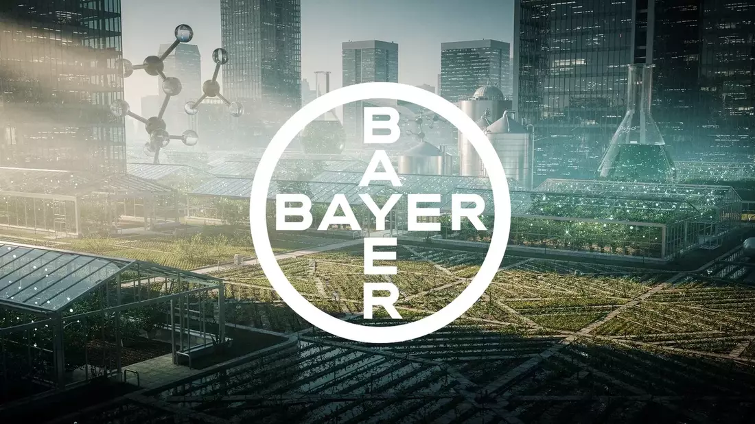 Bayer Stock at Technical Crossroads Ahead of Half-Year Report After Landmark Legal Win