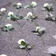 Gedenken an die Opfer  - Bild: Maurizio Gambarini/dpa