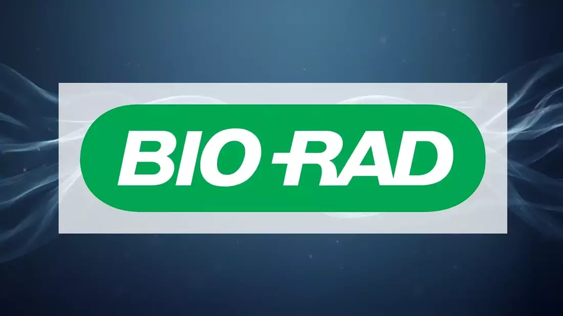 Biogena Group Invest Stock Surges 81% on Parent Company Restructuring and Merger Hopes