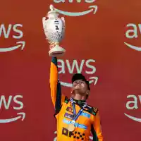 Lando Norris triumphiert auf dem Hungaroring. - Foto: Darko Bandic/AP/dpa