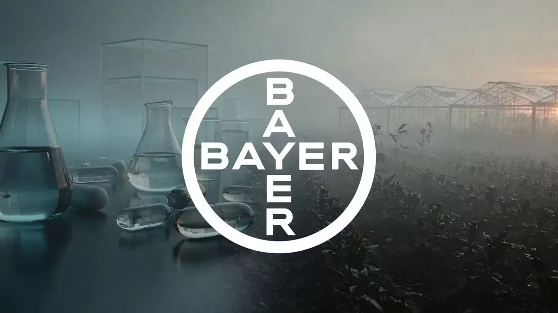 Bayer Stock at Crossroads: Earnings and Roundup Settlement Test Rally