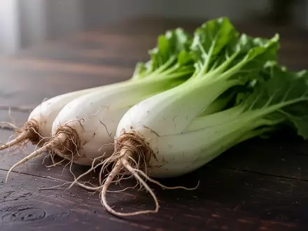 Frische Chicorée-Wurzeln auf einem dunklen Holztisch, symbolisch für die Ernährungstherapie bei Arthrose. - Foto: über boerse-global.de