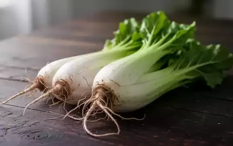 Frische Chicorée-Wurzeln auf einem dunklen Holztisch, symbolisch für die Ernährungstherapie bei Arthrose. - Foto: über boerse-global.de