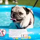 Ein Hund kühlt sich im Planschbecken ab. - Bild: Christoph Soeder/dpa