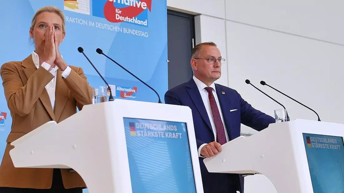 Forsa: AfD erreicht neuen Höchststand